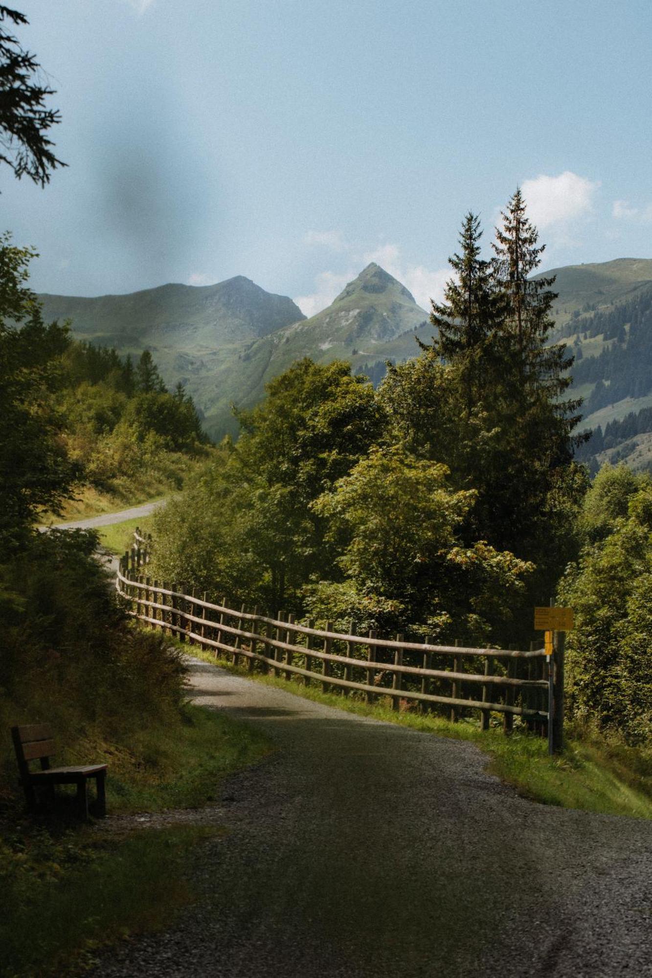 Hotel Salzburg Saalbach-Hinterglemm Ngoại thất bức ảnh